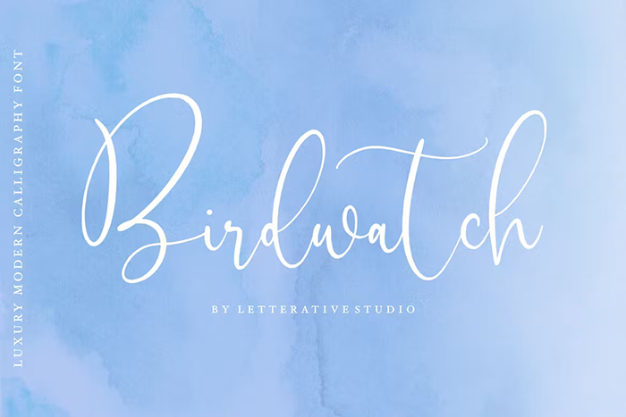 Birdwatch Script Font