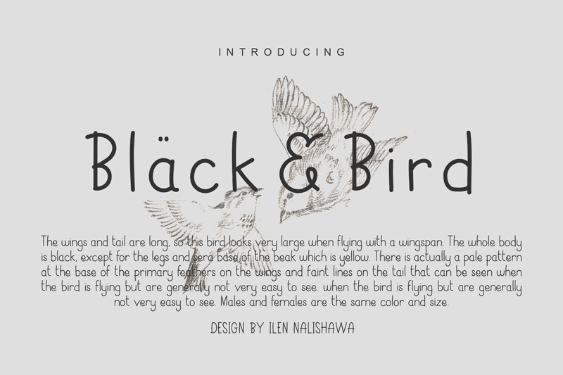 Black Bird Free Font