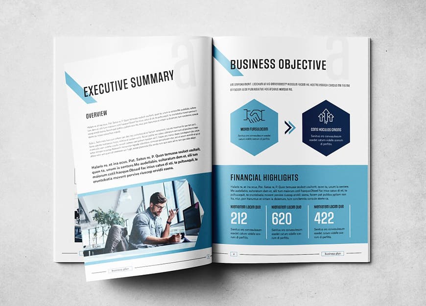 Business Plan Layout Brochure Templates