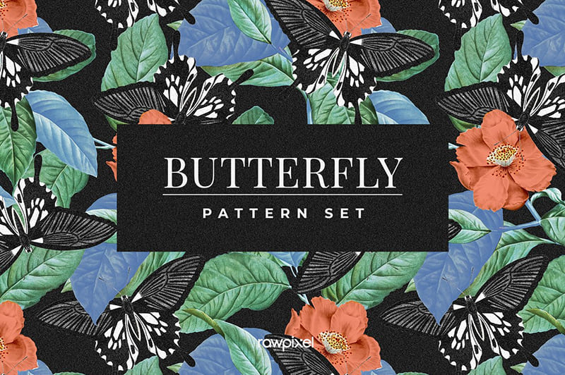 Butterfly Brushes & Patterns