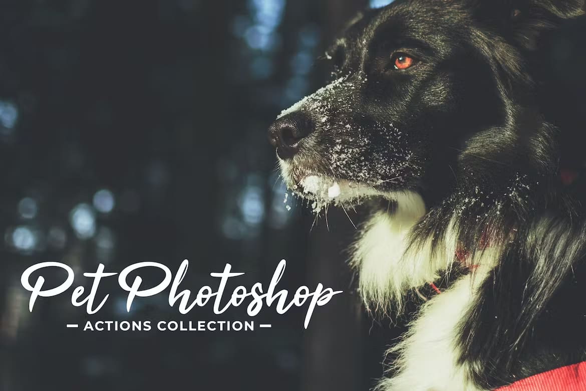 Pet Photoshop Actions Collection