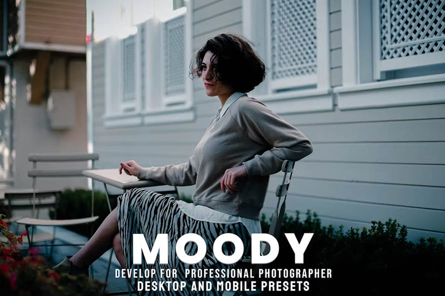 Moody Desktop And Mobile Presets