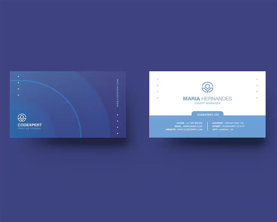 Blue Simple Business Card Design