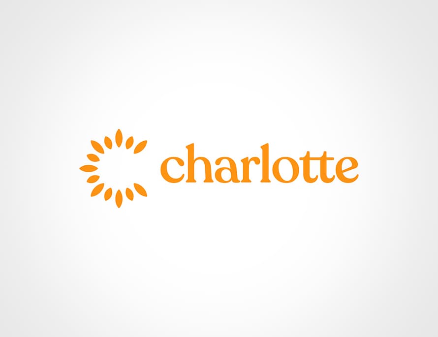 Charlotte Sun Rays Logo Design