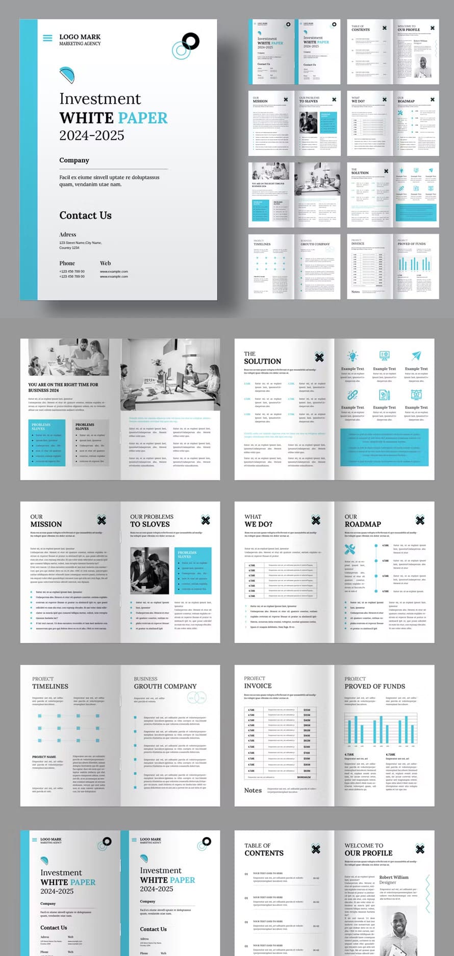 Investment White Paper Brochure Template