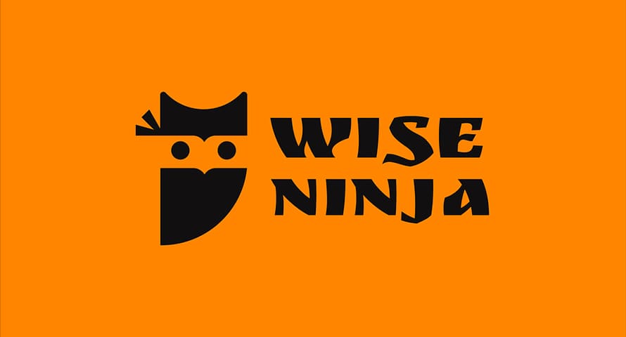 Wise Ninja Logo Design