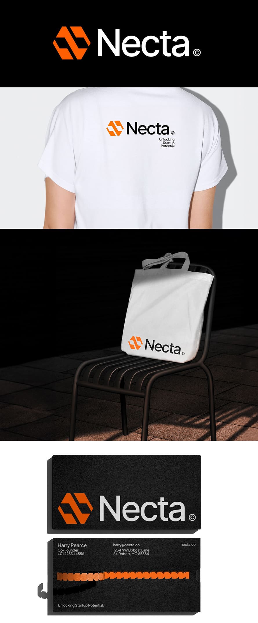 Necta Branding Design