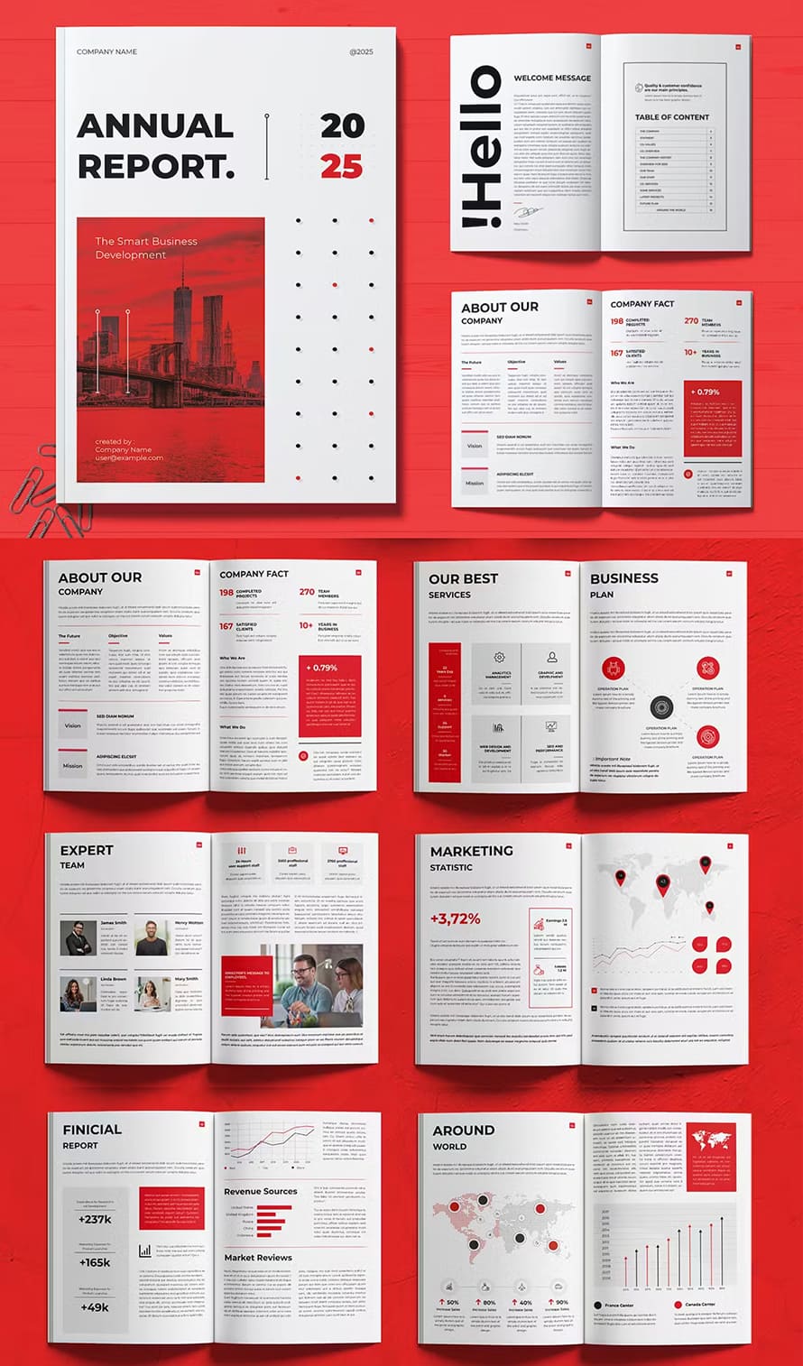 Corporate Annual Report 2024 (20 Pages)