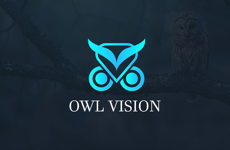 Owl Vision Logo Design by Toufiqur Rahman