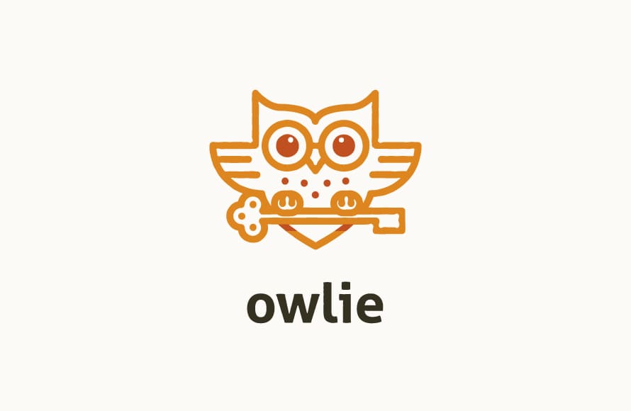 Owlie Logo Design by Mateusz Urba?czyk