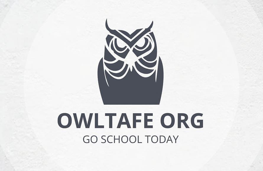 Owl logo design For school children by AMdesignspack