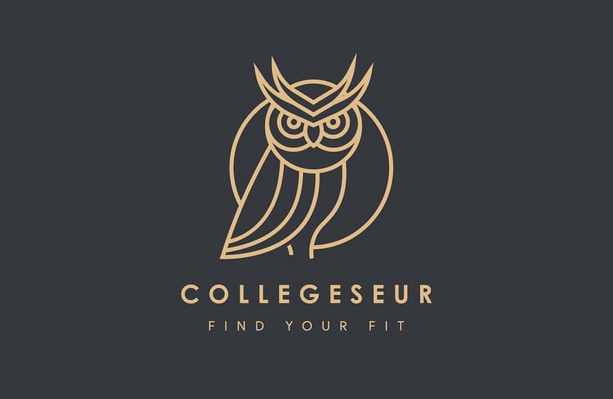 Owl Logo Design by rifalfahrudin