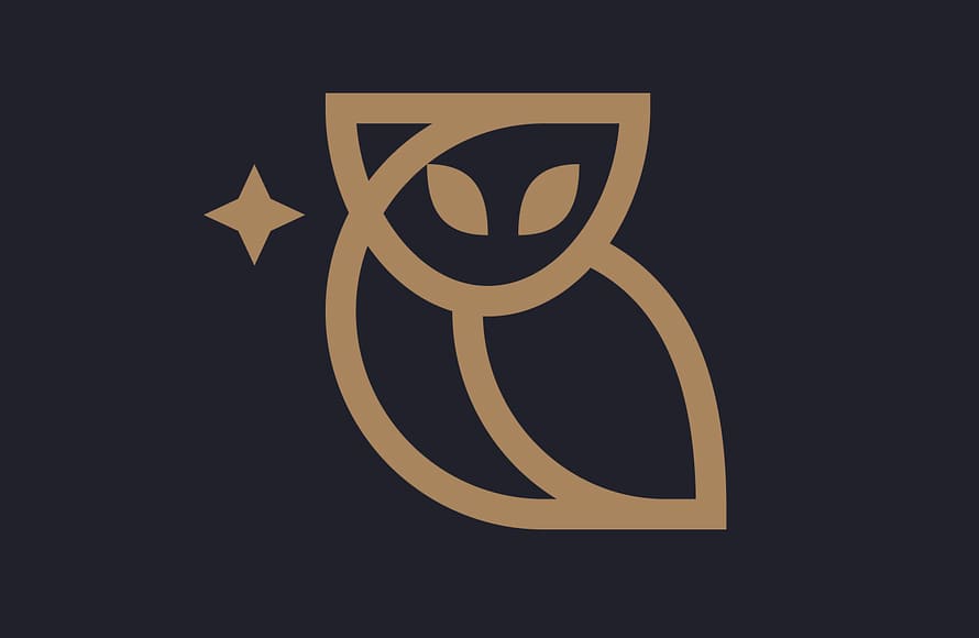 Line Art Owl Logo Design by Alexandr Petrov