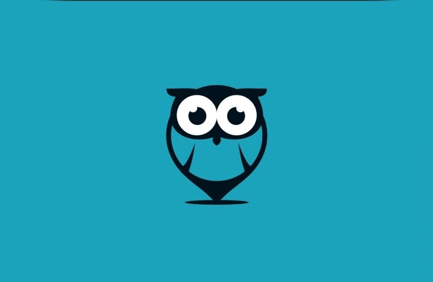 Owl Logo Idea by taufikrizkyy
