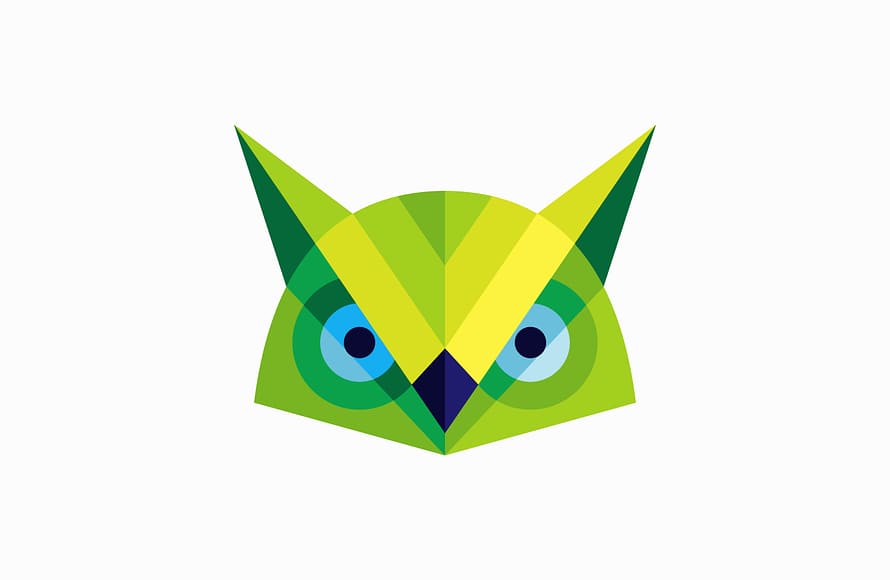 Geometric Owl Logo Design by UNOM design