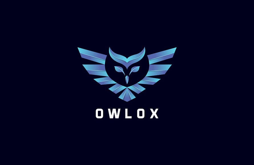 Modern owl logo by Hussnain Graphics