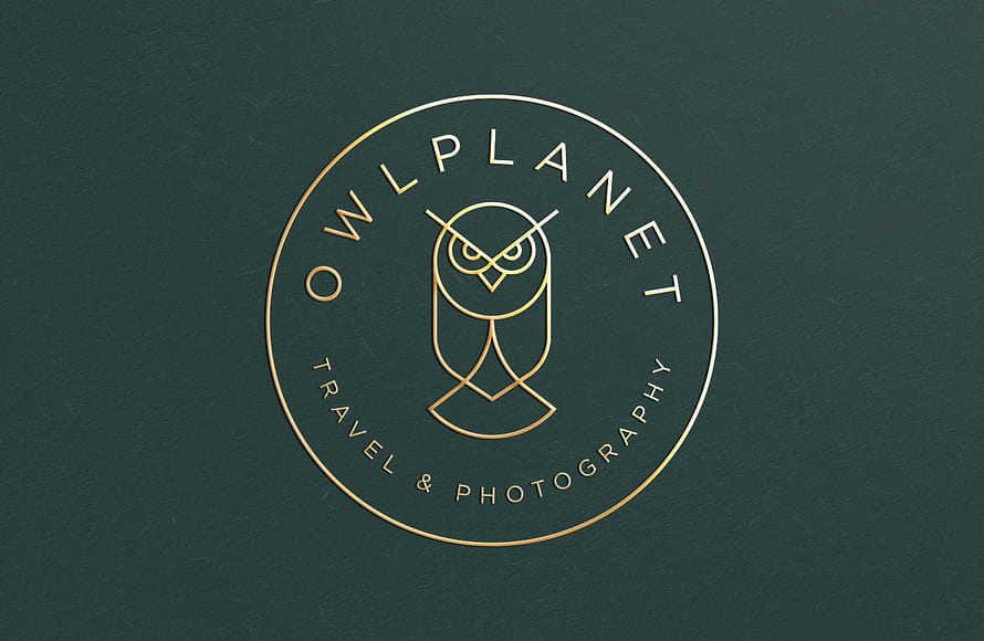 Owl planet Logo Design by Ahmed creatives