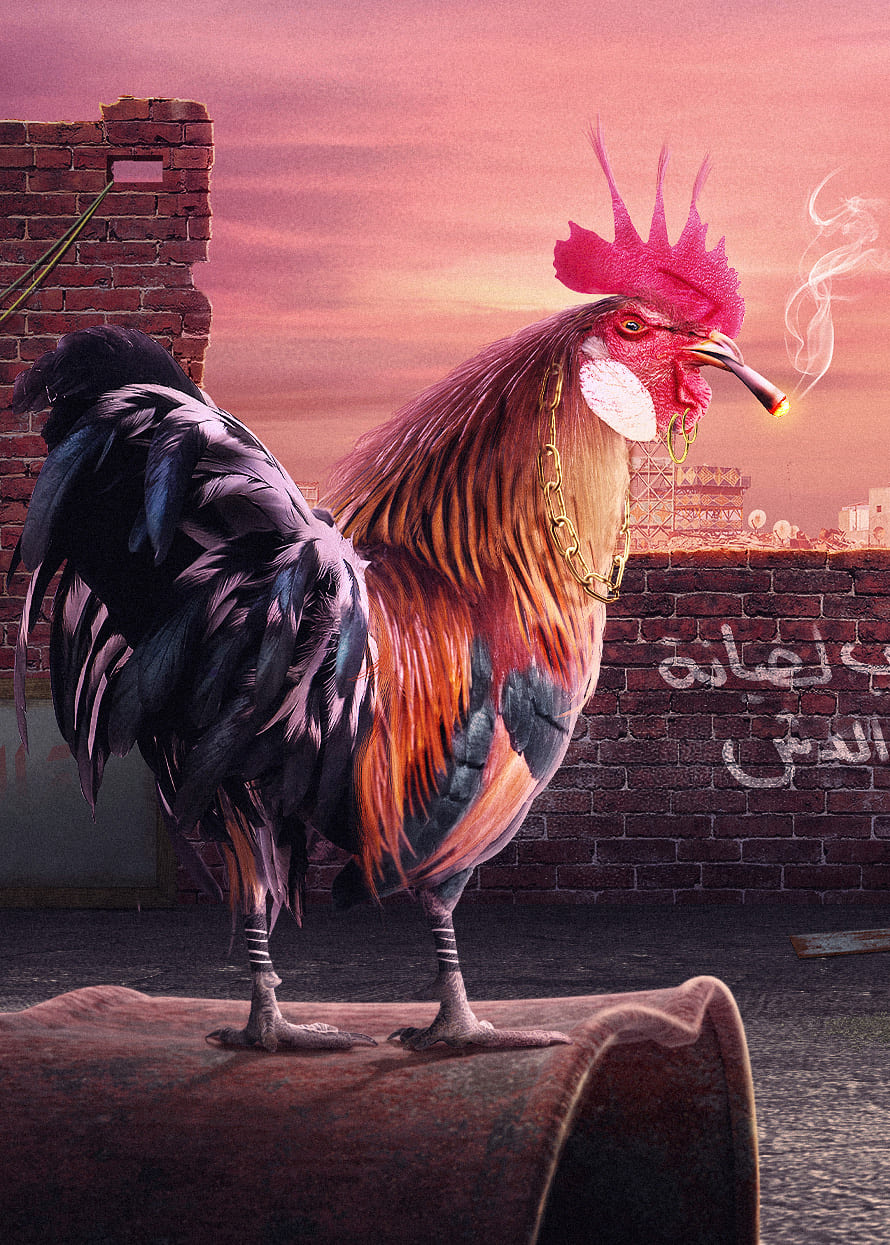 The Bad Rooster Photo Manipulation by Islam Elhadary