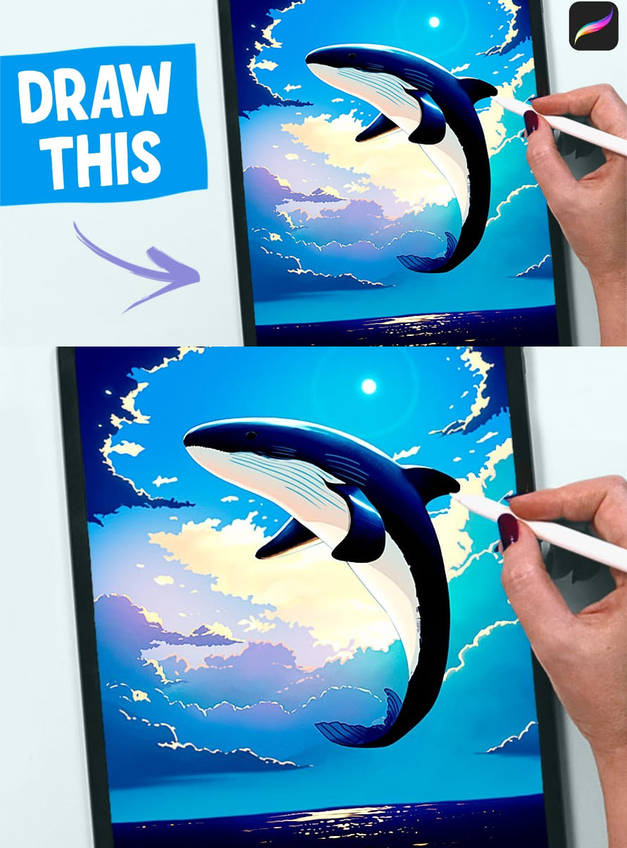 How to Draw a Killer Whale Illustration in Procreate Drawing Tutorial