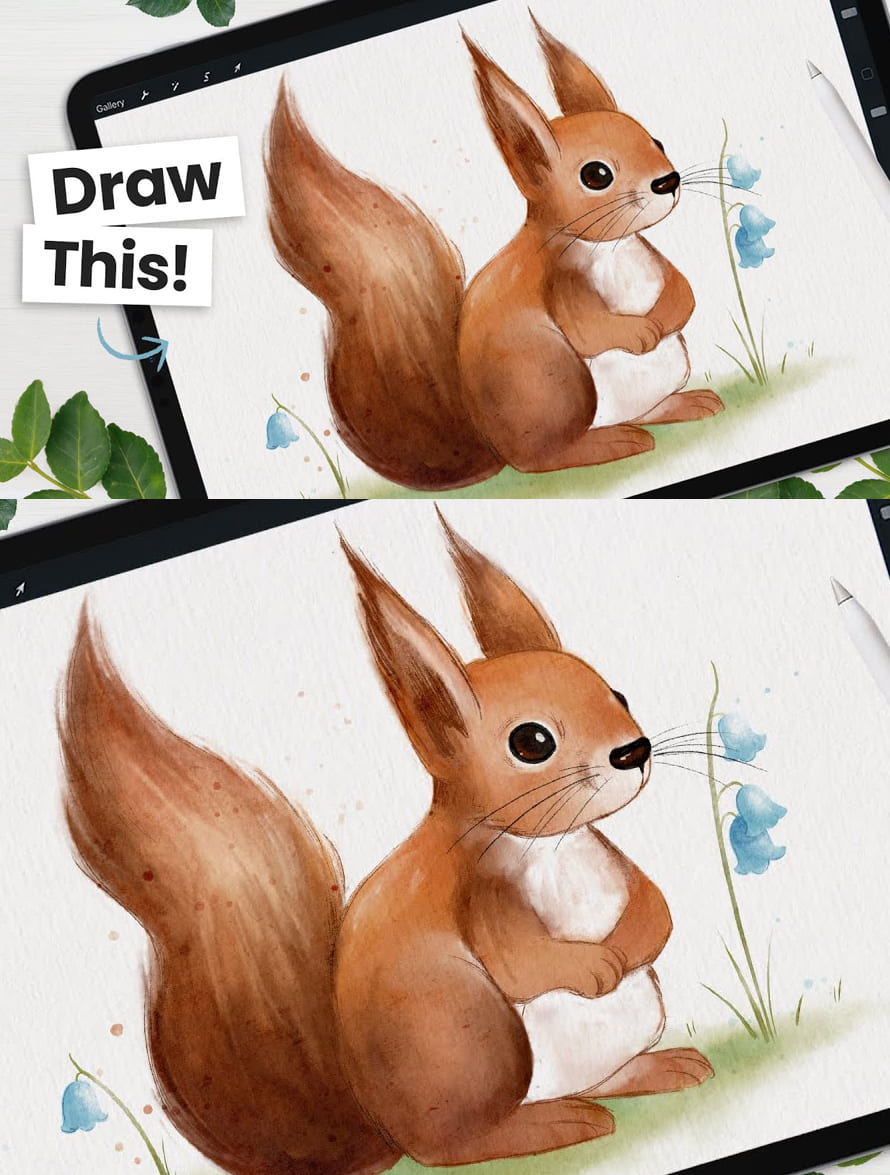 How To Draw A Cute Watercolor Squirrel in Procreate Tutorial