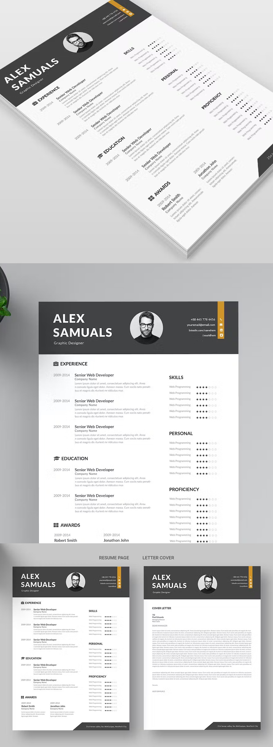 Resume Template (2 Pages)