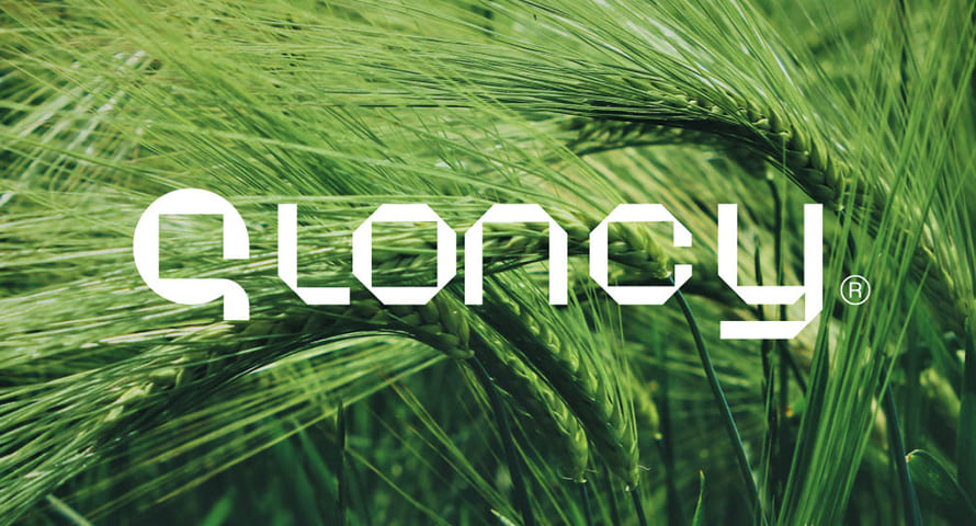 Gloncy logo brand identity by Pilicown Studio