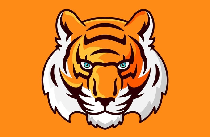 How to Create Tiger From SKETCH TO VECTOR - Adobe Illustrator TUTORIAL