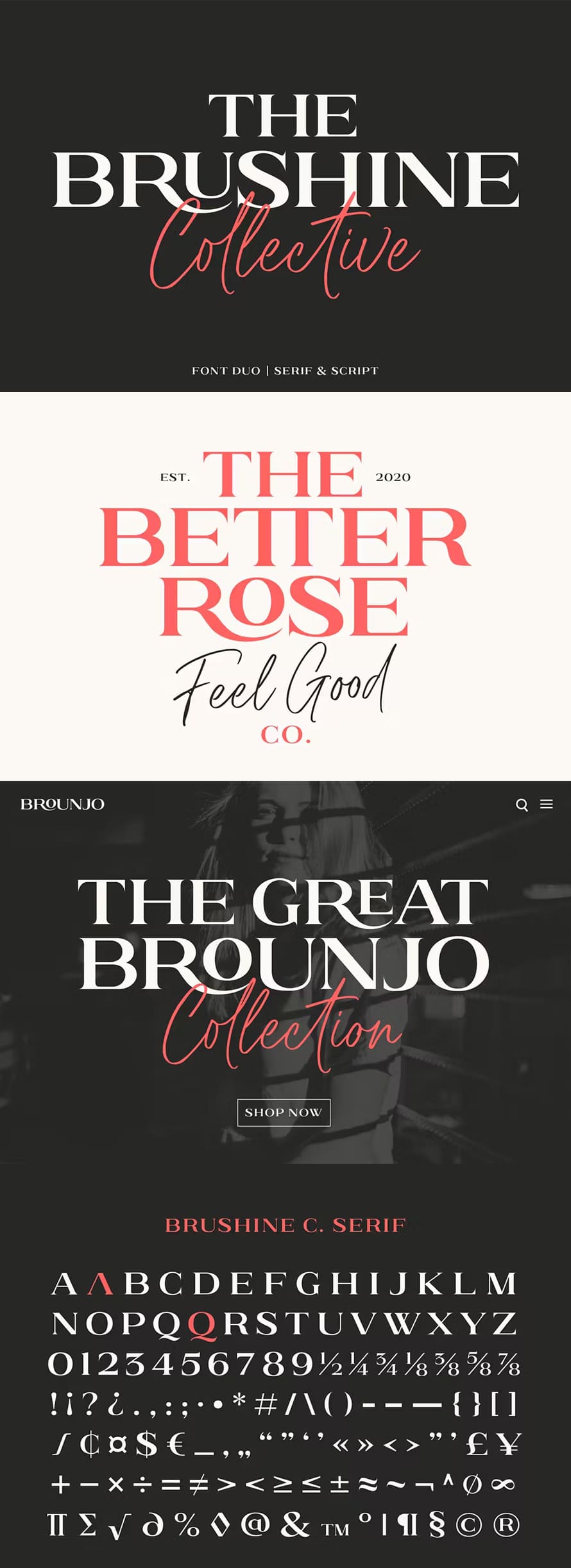 Brushine Collective Luxury Font For Logo