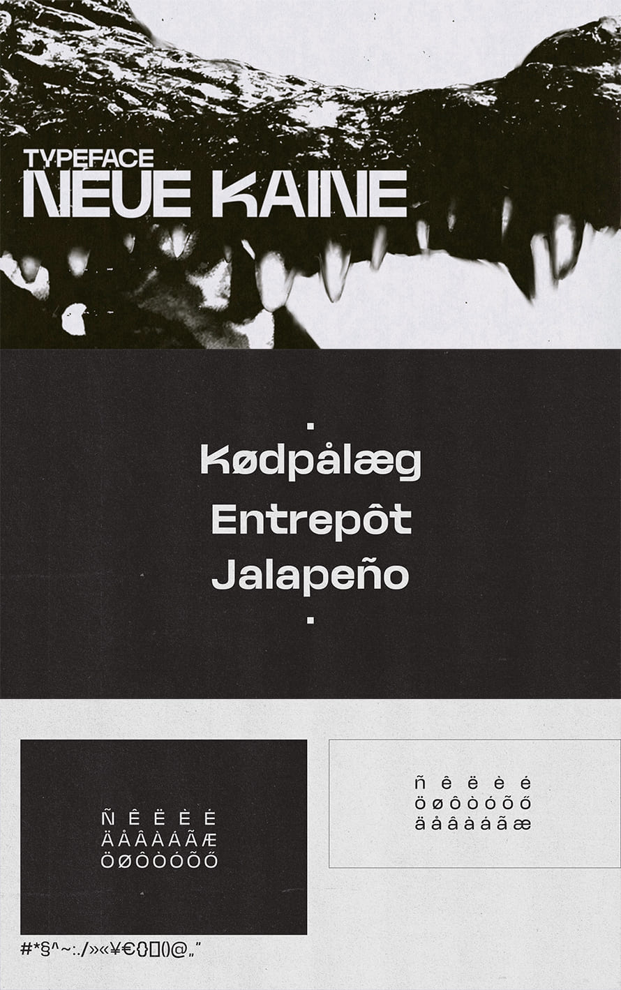 Neue Kaine Free Font