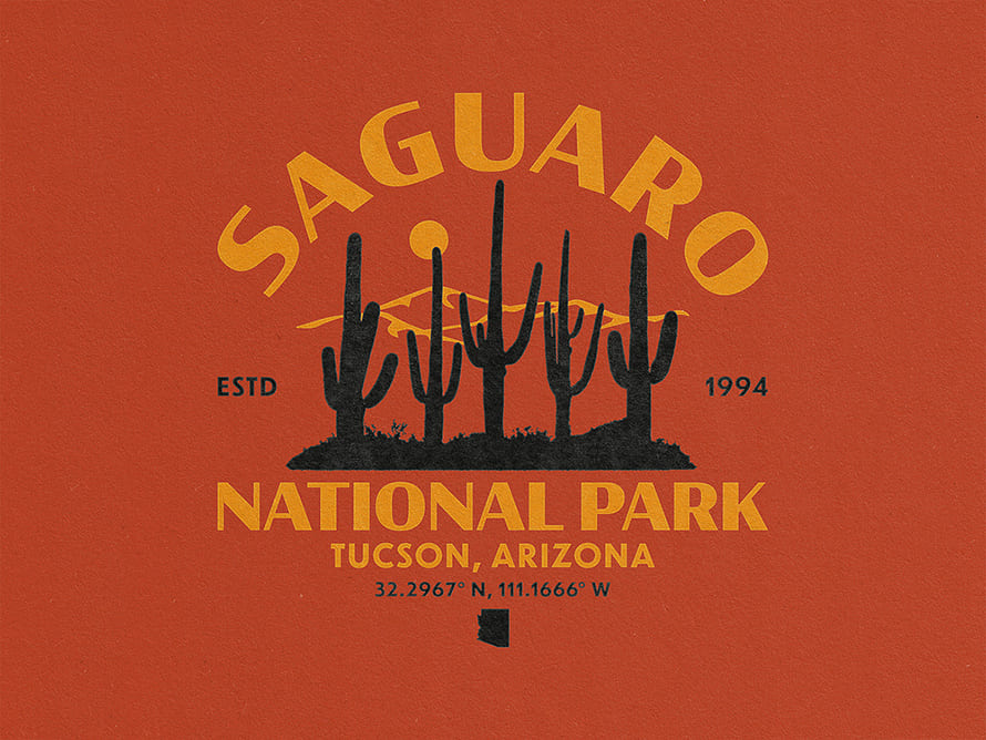 Saguaro National Park Jose Manzo by Manzo Design Co.