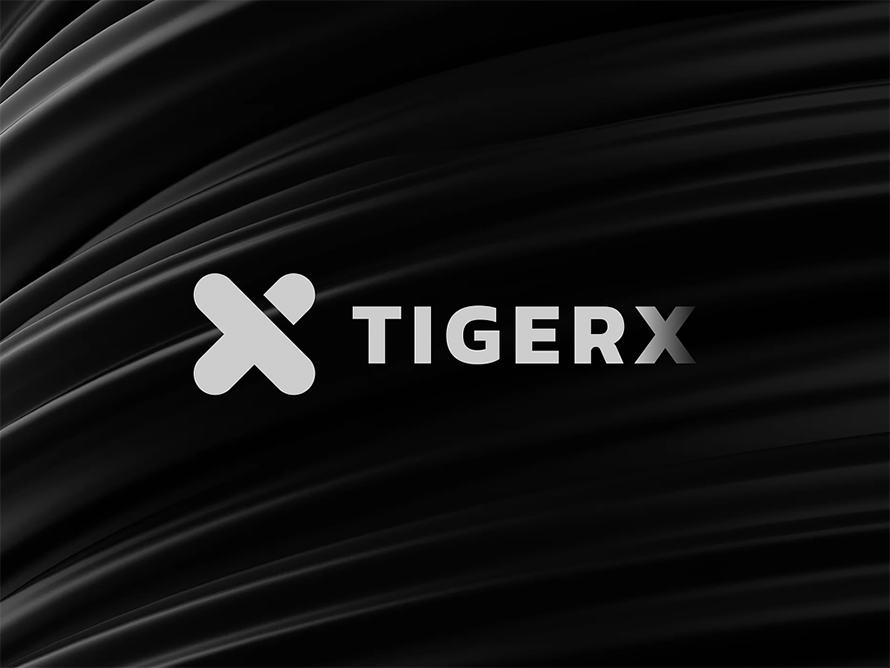 Tigerx - Logo Design Concept By Eugene Mt