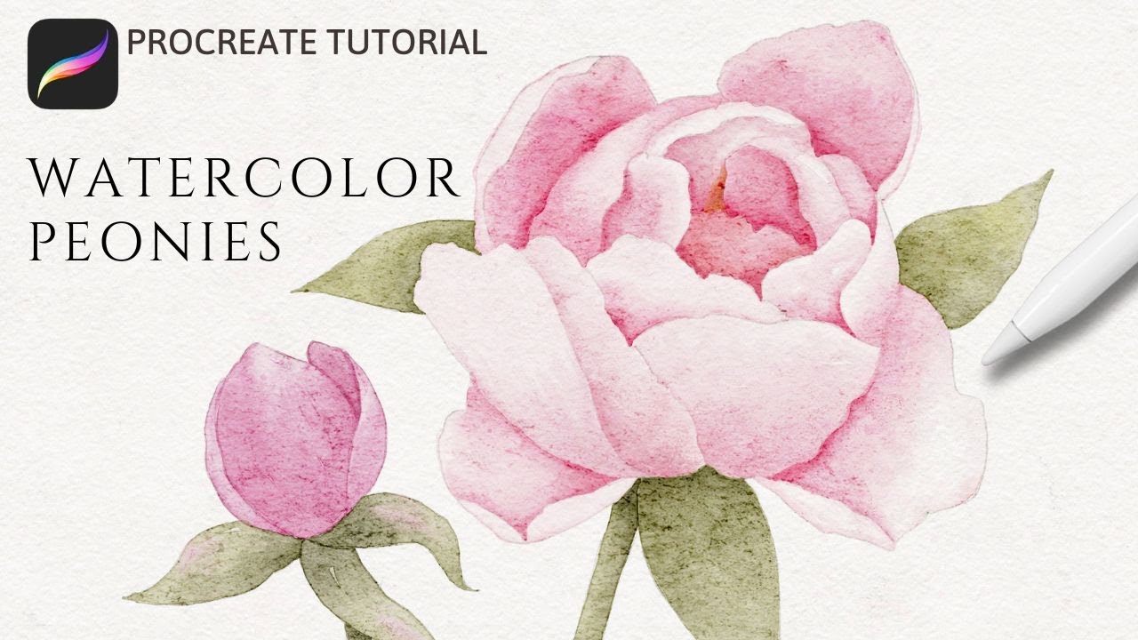 Cómo pintar flores de peonía en acuarela en Procreate | Tutorial realista de peonías en acuarela